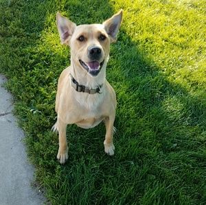 Meet your Posher, Kim